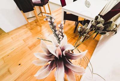 Casuta ta cu Gradina, la un Pas de Herastrau! 2 Camere Premium, Gata de Mutare Casuta ta cu Gradina, la un Pas de Herastrau! 2 Camere Premium, Gata de Mutare - 11