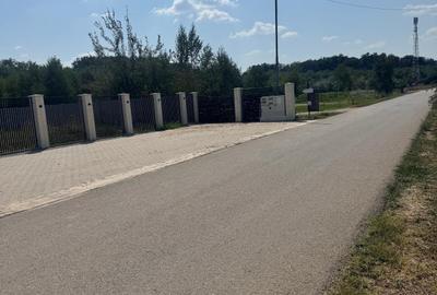 Teren de 5000 mp intravilan în Corbeanca – zonă rezidențială nouă Teren de 5000 mp intravilan în Corbeanca – zonă rezidențială nouă - 3