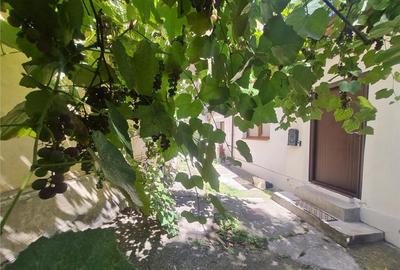 Apartament in casa, Vintage Style, curte, Centrul Istoric Br - 12