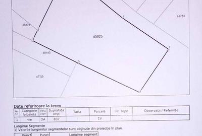 Spațiu comercial, în Tomești - 5