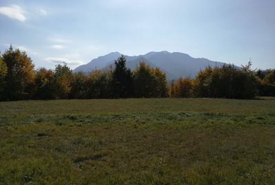 Teren de 2800 mp, în Exterior Vest - 1