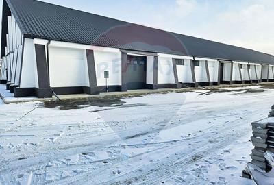 Hale industriale de inchiriat in Tg Neam? - 3