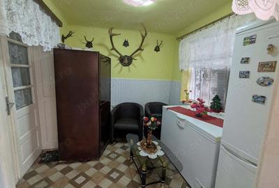 Casa cu gradina ?i livada in Nadrag - 7