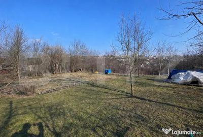 Casă cu 3 camere cu Teren 3000 Mp în Central - 2