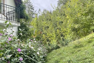 Casă cu 4 camere în Timișu de Jos - 7