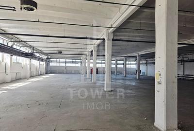 Hala generosa de închiriat . - 1