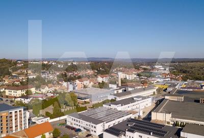 Complex Industrial de Vanzare – Zona Industriala, Cisnadie, Sibiu - 11