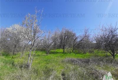Teren 4000 mp + casa demolabila in Bragadiru/Varteju (Magurele)