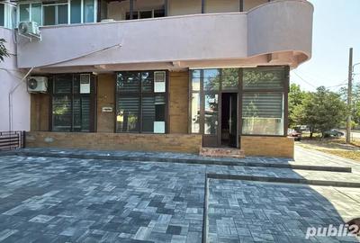 Spatiu comercial de inchiriat - 1