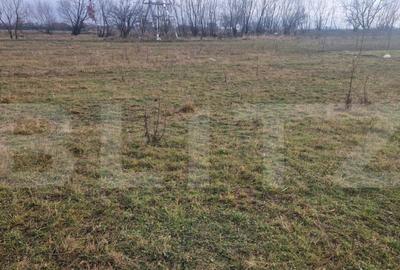 Teren intravilan Sanpetru - ideal ctie casa 500 mp - 3