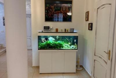 Casă cu 6 camere cu Teren 535 Mp în Pipera - 7