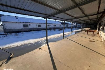 Spațiu comercial, de 376 mp, în Lucian Blaga - 1