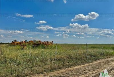 Teren 64 de parcele de vanzare /  Teren de investitie / Frumusani / Calarasi - 1