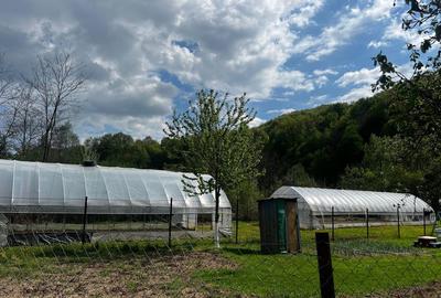 Teren de 1423 mp, în Telega - 5