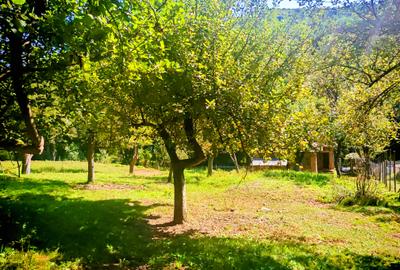 CASA si 2393 mp TEREN INTRAVILAN, Muntii Apuseni, NEGRENI - CLUJ la 1 km de E60 - 26