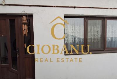 Casa de vanzare zona Campia Islaz - 8