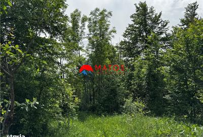 Teren de 1300 mp, în Cornu - 7