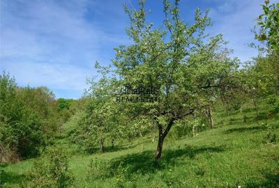 Teren intravilan si cladire in Apuseni, Blajeni, Hd - 3