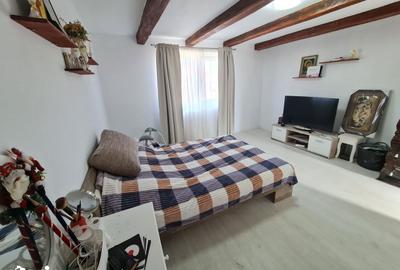 Casă cu 2 camere decomandat cu Teren 1230 Mp în Bocsig - 14