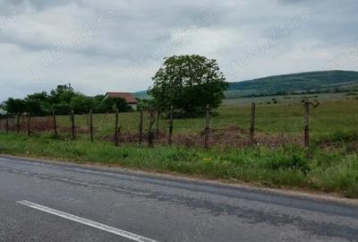 Teren de 11780 mp, în Merei - 5