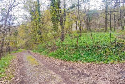 Teren Intravilan Centrul Civic - 12