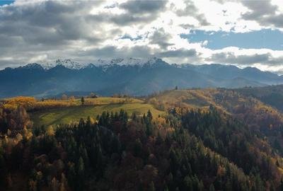 Proprietate autentica, stil traditional:Eco, cu parau pitore - 12