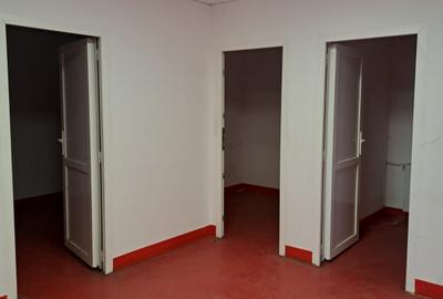 Spatiu ideal Cash&Carry Afumati - 11