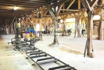 CASA + HALA comuna ALEXANDRU cel BUN - 1