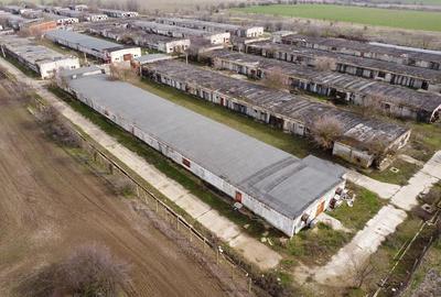 Teren de 25000 mp, în Călacea - 3