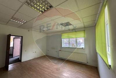 Casă individuală cu 5 camere cu Teren 1363 Mp în Mărăști - 1