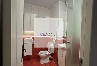 Apartament cu 4 camere semidecomandat, mobilat în Rahova - 9