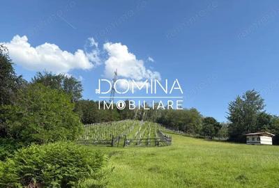 *Domeniu* cu poten?ial turistic - casa de vis, livada ?i vie - Bumbe?ti-Jiu - 1