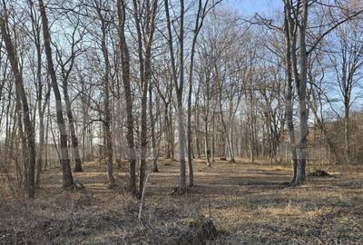 Teren de 1100 mp, în Făget