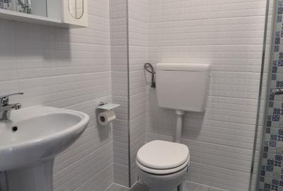 Apartament cu 2 camere de inchiriat in Sibiu Ansamblul Magnolia - 18