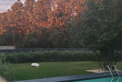 Casă cu 4 camere în Dumbrăveni - 3