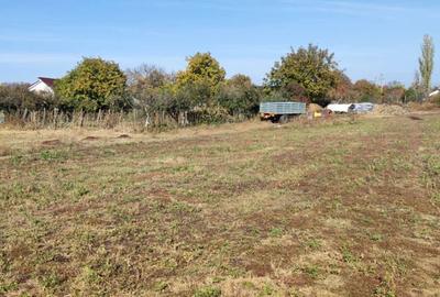 Teren de 3200 mp, în Schineni (Sascut) - 4