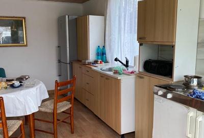 Casă cu 3 camere în Teiu - 6