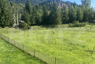 Casă cu 5 camere cu Teren 1755 Mp în Central