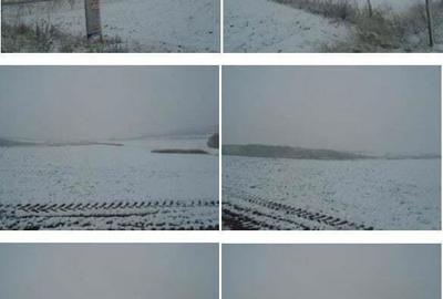 Teren Corbita, ID: R1984008 - 3