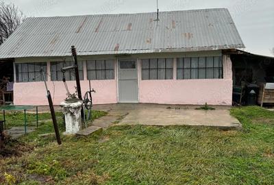 Vand casa la tara - 5