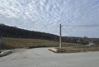 Teren de 600 mp, în Corunca - 1