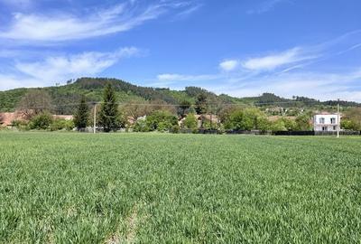 Spațiu comercial, în Tohanu Nou - 7