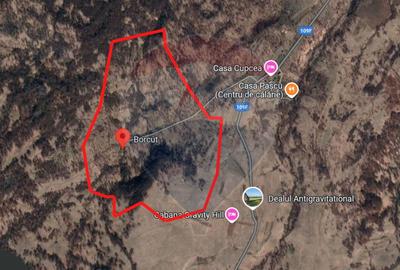 Teren agricol extravilan de 93334 mp, în Ocna Șugatag - 3