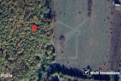Teren de 3300 mp, în Ciurila