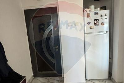 Apartament cu 2 camere de vanzare in zona Brazda lui Novac - 10
