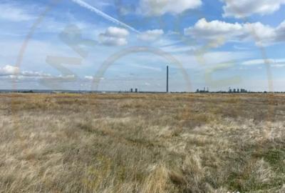 Teren de 10000 mp, în Albota - 2