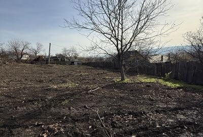 Teren de 1200 mp, în Tomești