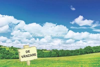 Teren de 647 mp, în Pasărea - 1