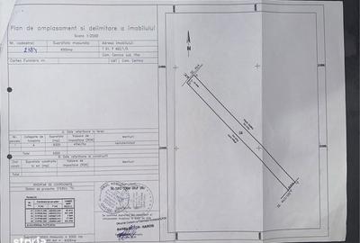 Teren de 9300 mp, în Cernica - 1