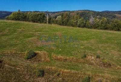 Comision 0% teren intravilan 1000 mp, PUZ, priveliste, Baisoara - 7